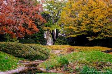 Autumn at Cannon Hill Park, Birmingham (November 2019)